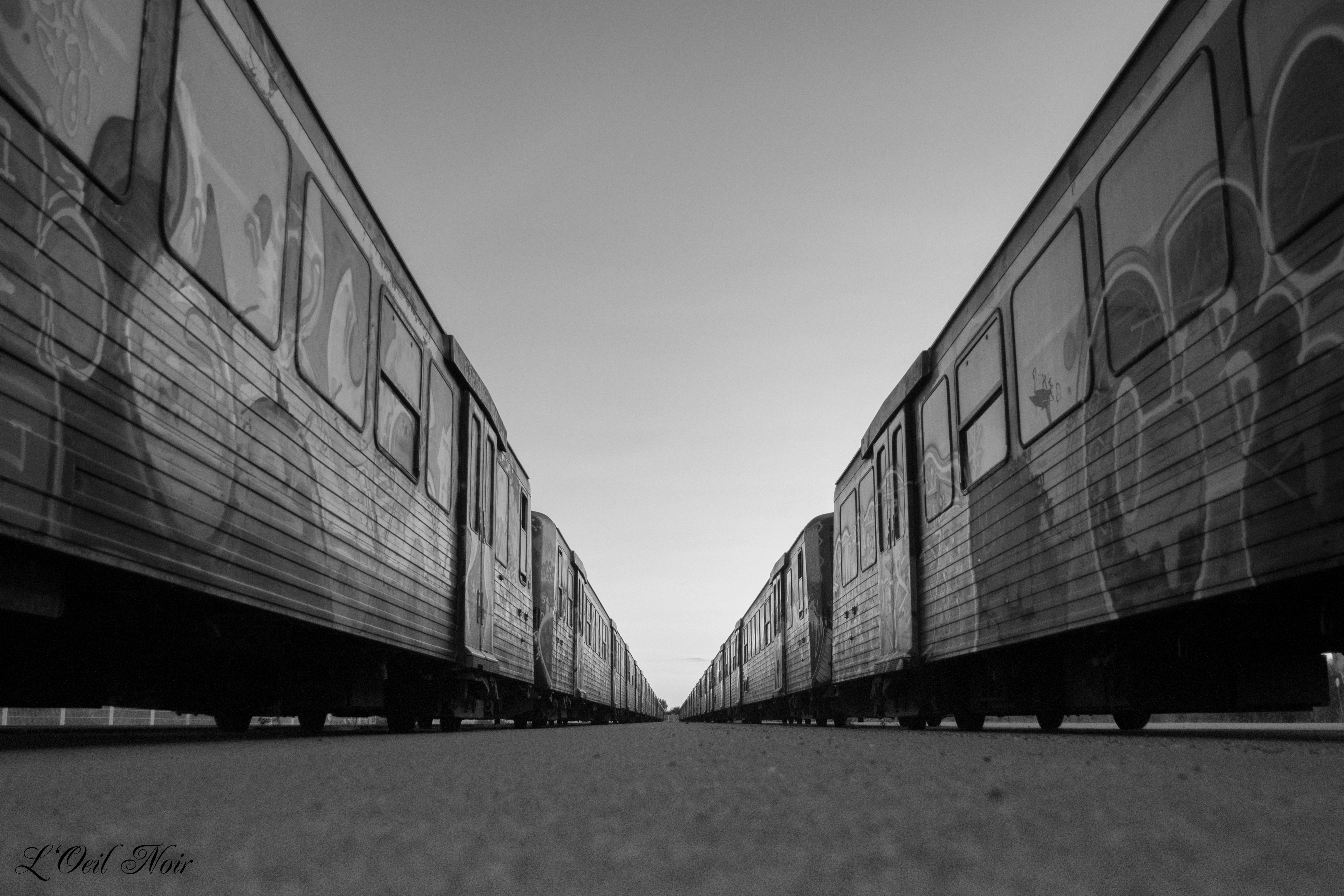 L' Oeil Noir Photographie